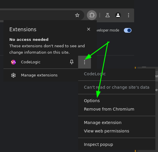 Open extension options